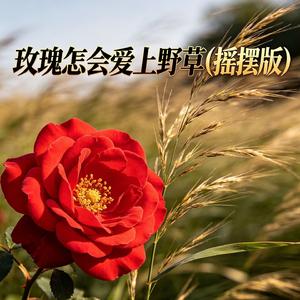 玫瑰怎会爱上野草(摇摆版)