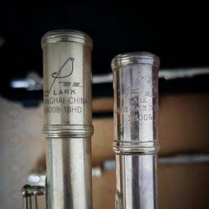 【长笛】咒术回战：LOST IN PARADISE（翻自 ALI）