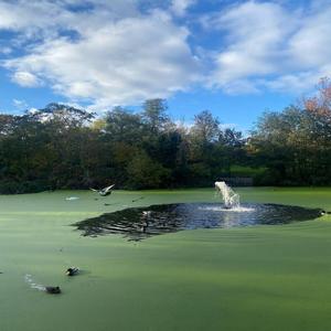 Askania (feat. Volodymyr Gnatenko)