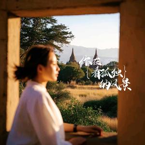 你在看孤独的风景