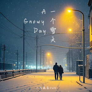 一个雪天