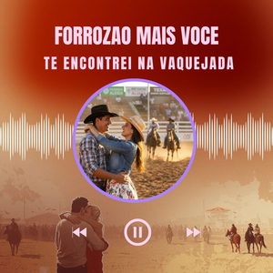 Te Encontrei na Vaquejada