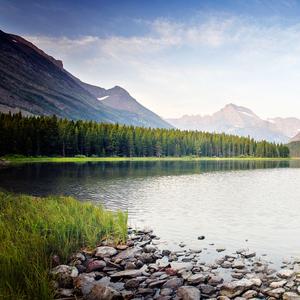 少了个你的故事