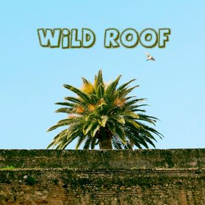 Wild Roof