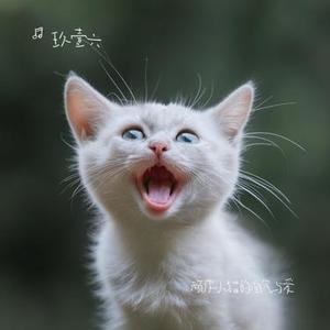 校园时光里的青春陪伴