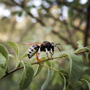 Орбитальная станция