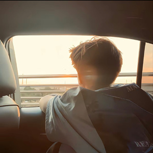 春风得意马蹄疾