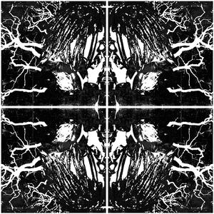 Every Other Day (feat. Rollin Thrax)