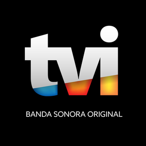 Tema Tvi 24 2016