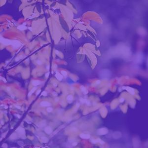 柔和的睡觉时刻