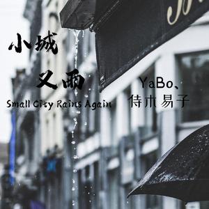 小城又雨（small city rains again）