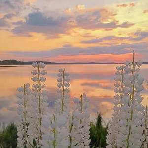 一个像夏天一个像秋天（Cover：范玮琪）（翻自 范玮琪）