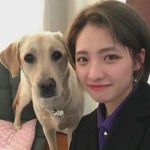 真心很贵
