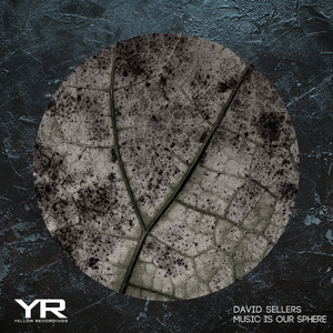 Degrading (Original Mix)