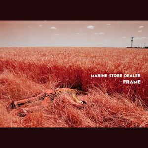 Frame