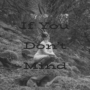 If You Don't Mind