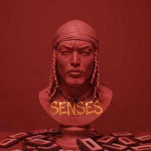Senses