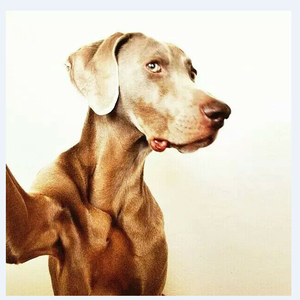 曲目1  5首 完美HOUSE经典混搭