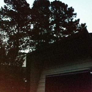 Where The Moon Shines