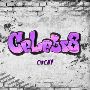 CeLebr8