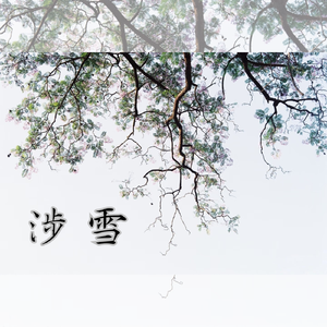 涉雪——记《魔法使的约定》Figaro