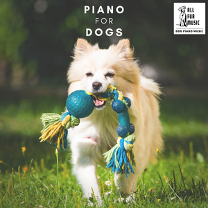 Purrs and Paws Piano Party