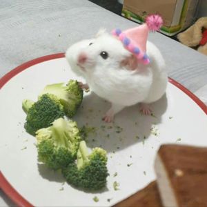 冷空气o.0（pord by Bubbleboy）