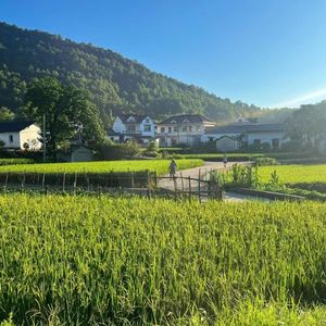 一直走一直梦， 一直疯一直没停留