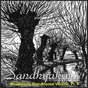 Sandhyakala Woodwinds Instrumental (Acoustic Guitar & Subcontrabass Saxophone Version)