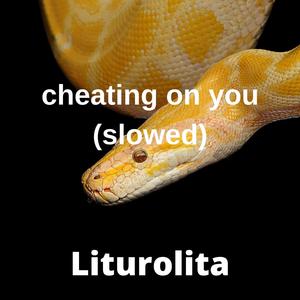 cheating on you (slowed)