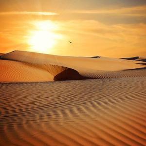 迷途（《信仰》变奏曲）