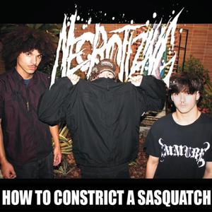 HOW TO CONSTRICT A SASQUATCH