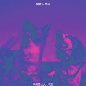 精彩孤独的狗环境