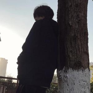 映山红旋律（DJ修改）