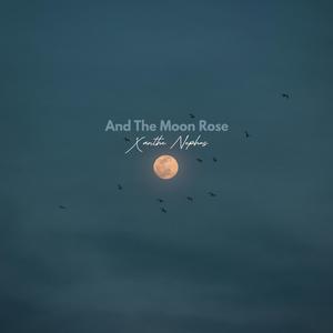 And The Moon Rose