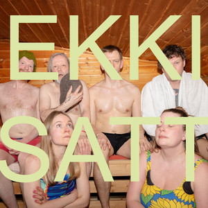 Ekki satt