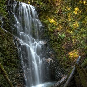 你的爱路过我的青春