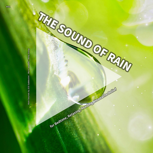 Chilling Rain Sound FX