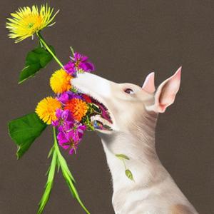 it's okay moby the flowers were for you