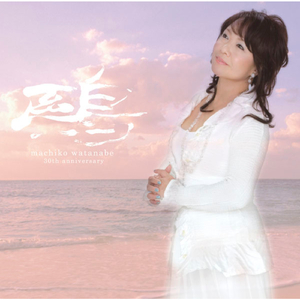 かもめが翔んだ日