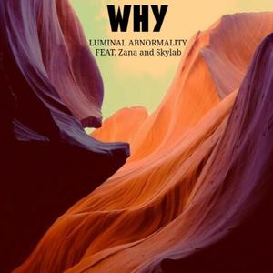 WHY (feat. Zana & Skylab)