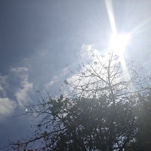 一念摘星_66188108923070983_1762496528884.wav