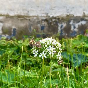 生活击倒我，却睡在你怀里