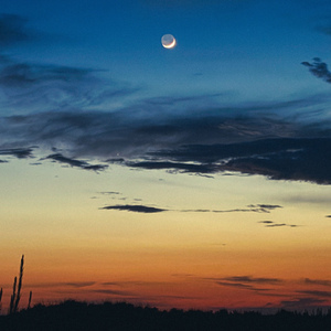 the moon remembers you