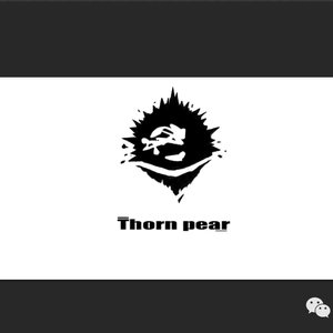 给某个秋天穿着黑色吊带和破洞牛仔裤的瓜妹子的一首情歌