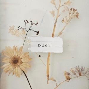 Dust