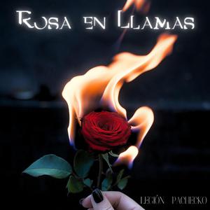 Rosa en Llamas (feat. Pachecko)