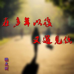 在多年以后又遇见你