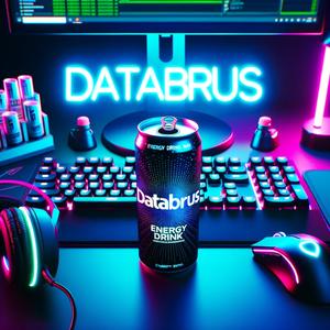 Databrus
