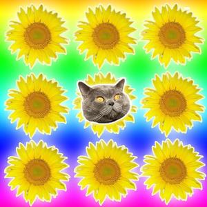 原来是梦（prod by.Nitemare$）